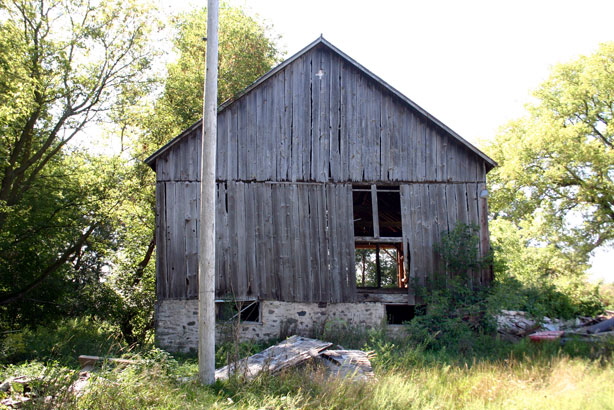 Elsner barn